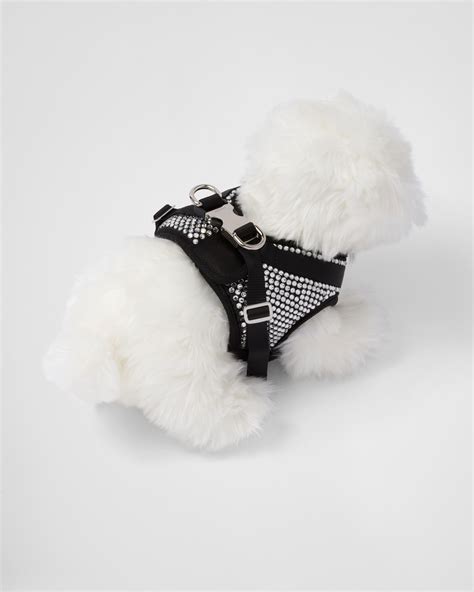 prada mens harness|farfetch Prada dog.